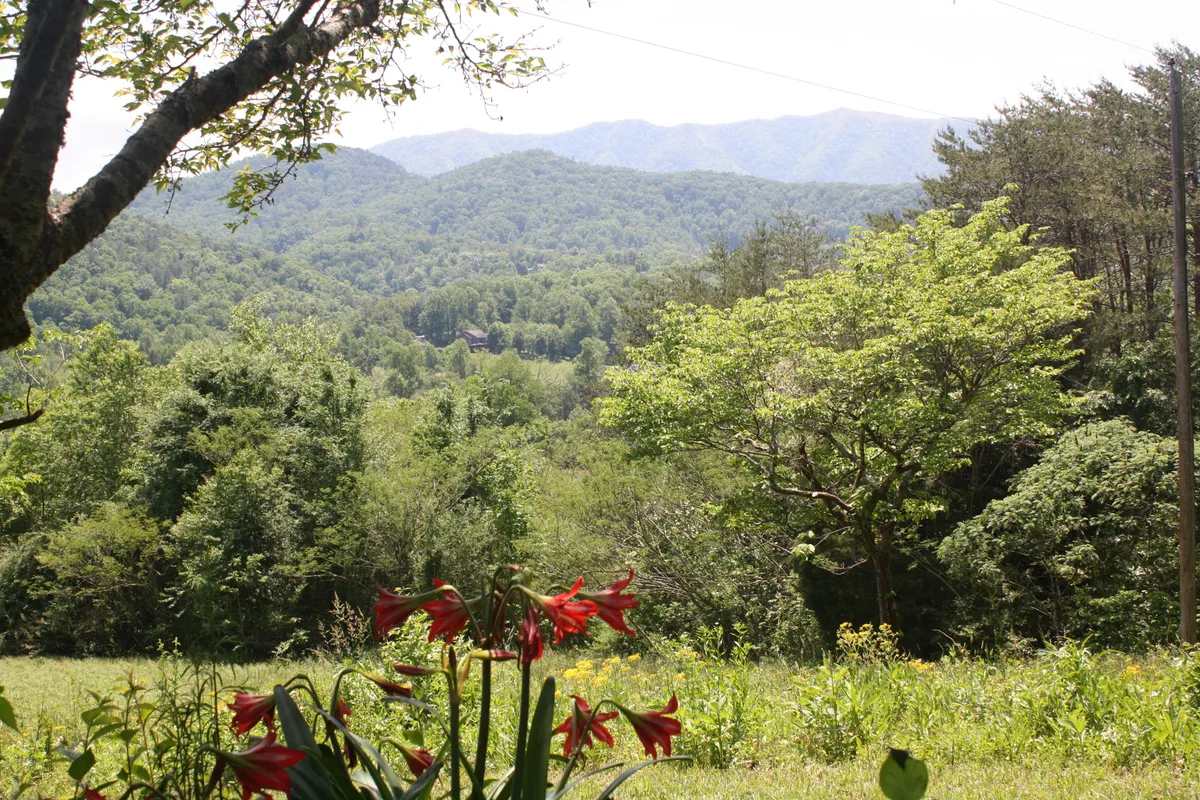 A vibrant view featuring red flowers in the foreground, lush green trees, and a dramatic mountain backdrop. The scene is filled with natural beauty and suggests the type of scenic experiences available just moments from the property, including sunrise and stargazing opportunities.